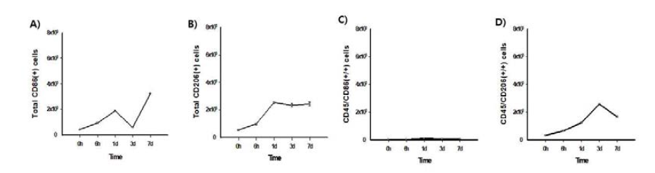 CD86(+)과 CD206(+) 세포의 유세포 분석