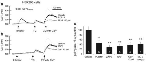 HEK293 세포에서 PCB19에 의한 TG-induced Ca2+ 억제 효과