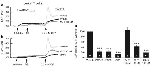 Jurkat T와 세포에서 PCB19에 의한 TG-induced Ca2+ 억제 효과