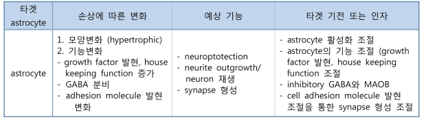 뇌 손상과 재생과정에서 예상되는 astrocyte의 기능변화