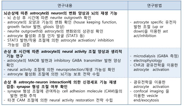 뇌 손상과 재생과정에서 astrocyte의 기능조절을 위한 타겟 발굴/검증 및 조절 기술