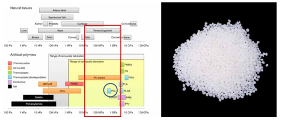 생분해성 힘줄 모사형 지지체 개발을 위한 Polycaprolactone