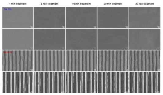 플라즈마 처리 시간에 따른 힘줄 모사형 멀티스케일 지지체의 표면 변화 관찰