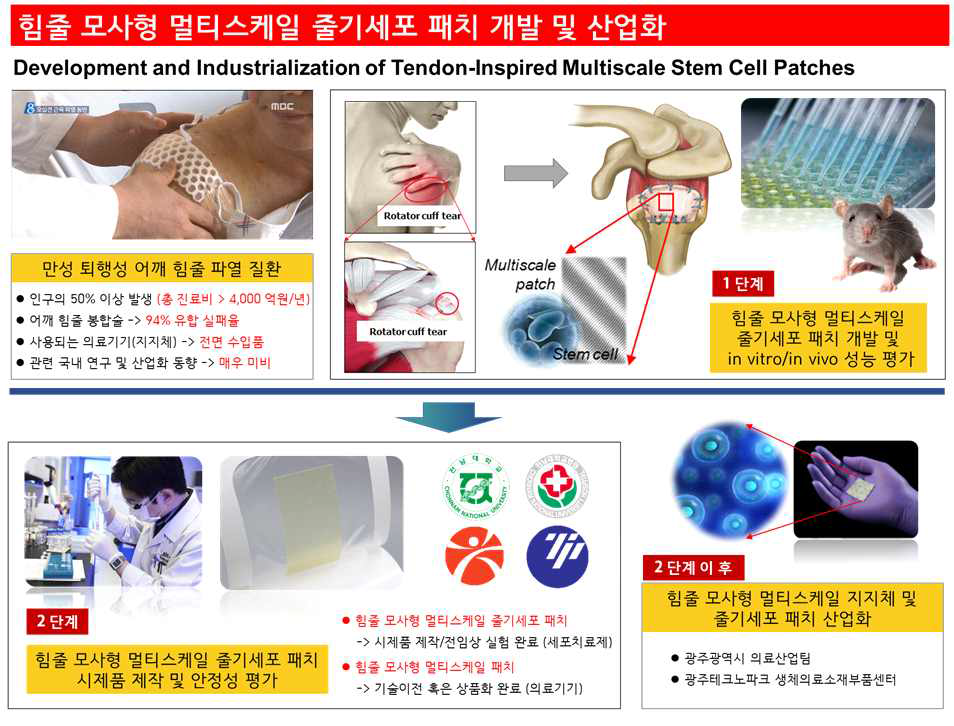 줄기세포와 생체모세미세공학을 활용한 난치성 힘줄 파열 예방/치료법 개발 및 산업화 연구과제 개념. 본 연구팀은 우리나라 50%이상 인구에서 발생되는 난치성 힘줄 파열에 대한 줄기세포 기반 새로운 예방 및 치료법을 제안함 (본 연구과제에선 만성 퇴행성 어깨 힘줄 파열 예방/치료법 개발에 집중을 두려함). 이를 위해서 1단계에서는 힘줄 모사형 멀티스케일 줄기세포 패치 개발 및 성능평가에 중점을 두고, 2단계에선 이의 시제품 및 안정성 평가 그리고 전임상 실험을 완료하여 산업화를 위한 기반 플랫폼 구축에 목표를 두려함. 즉, 1단계에서 원천기술 확립 및 검증을 완료하고, 2단계에선 업체, 지자체 및 다양한 기관과의 유기적인 협력을 통한 산업화 플랫폼 구축에 중점을 두려함. 본 연구과제를 통하여 1) 난치성 힘줄 파열 예방/치료법의 줄기세포 원천기술 개발 및 산업화(세포치료제 개발), 2) 힘줄 파열 의료기기(지지체/의료기기)의 국산화에 궁극적인 목표가 있음