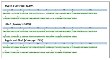 Peptide의 LC-MS/MS sequencing을 두 종류의 enzyme-digested samples