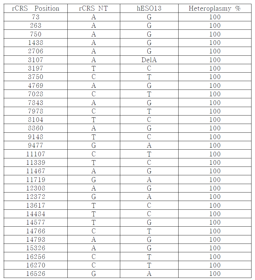 hESO13의 mtDNA mutation 분석 결과