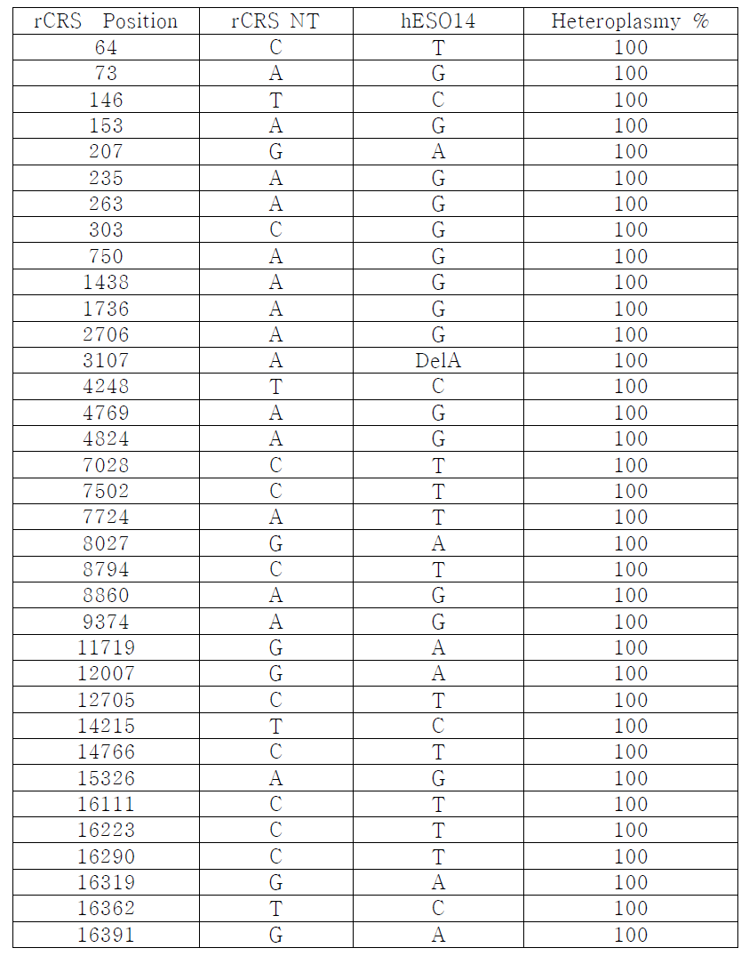 hESO14의 mtDNA mutation 분석 결과