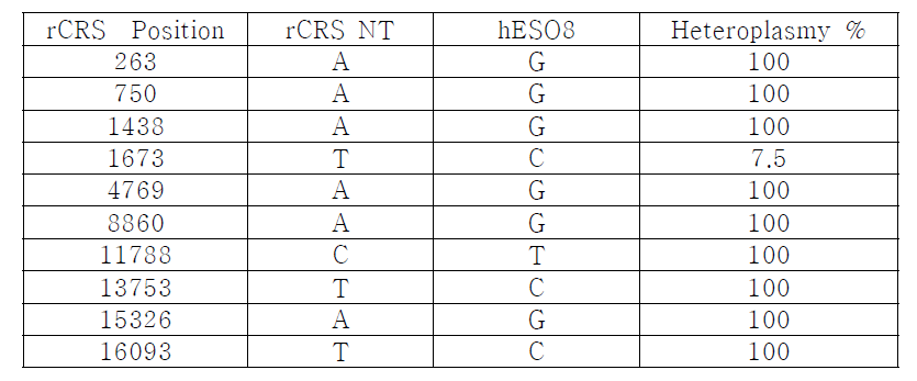 hESO8의 mtDNA mutation 분석 결과
