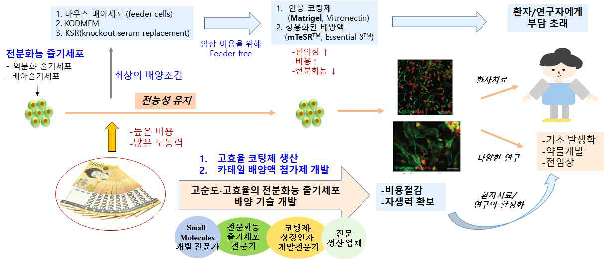 연구 개발의 개요