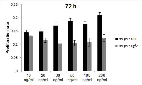 FGF2 또는 DJ1을 포함하는 homemade E8 basal medium으로 배양한 인간 배아줄기세포 H9(WA09) hESCs의 proliferation assay