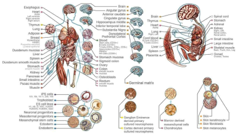 미국 국립보건연구소(NIH)의 대규모 Epigenome 프로젝트 (http://www.roadmapepigenomics.org/)