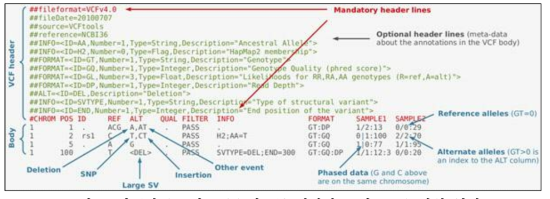 발굴한 SNP과 Indel 정보를 저장하고 있는 VCF파일 형식
