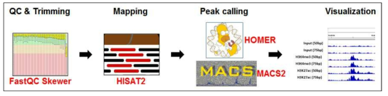 ChIP & ATAC-seq 분석 파이프라인