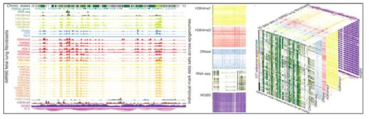 다중오믹스 분석을 통한 후성유전체학 지도 구축(A Kundaje et al., 2015, Nature)