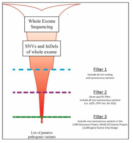 통합 exome-sequencing 접근법에 일반적인 개요(Leong et al., 2014, Medical science)