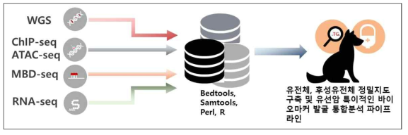 유전체, 후성유전체 통합 분석 파이프라인 구축
