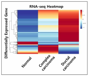 RNA-seq DEG 분석을 통한 정상 및 암종 특이적 발현 전사체 선별