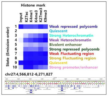 Histone mark 특징을 이용한 반려견 11개 조직 통합 Chromatin states reference 구축