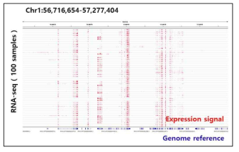 정상, 유선암, 타암, 악성종양 RNA-seq 100샘플 분석의 시각화