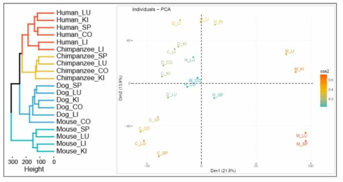 4종류의 서로 다른 종에 대해 5개 조직의 RNA-seq 데이터 분석을 통한 종간 유전자 발현 유사도 예측