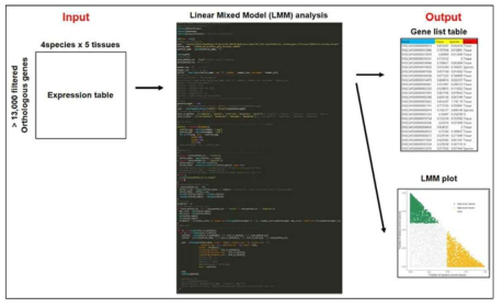 선형혼합모델 (LMM) 분석을 통한 특징적 유전자 선별 및 시각화 파이프라인 구축