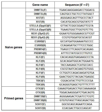 Primers of naive and primed genes