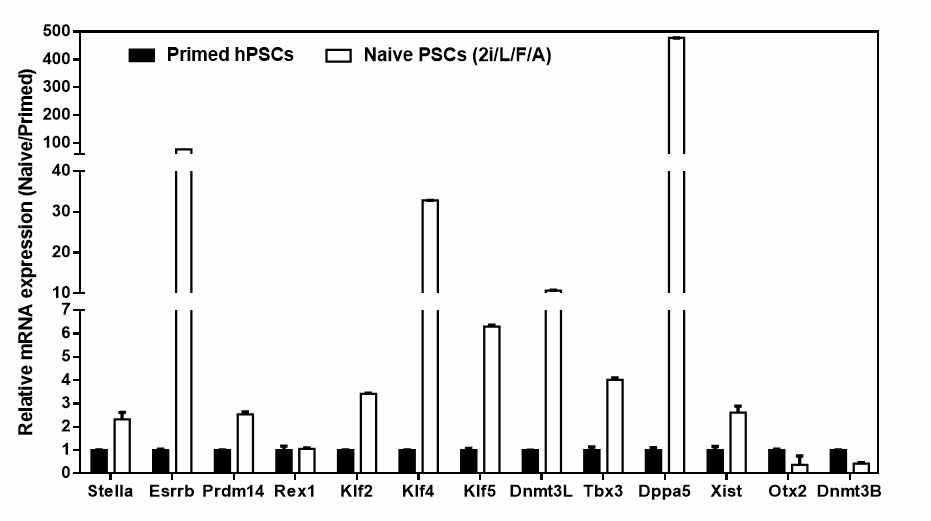 Expression of primed- and naive-specific genes in primed H9 and naive H9 (H9-2i/L/F/A) cells. primed H9 세포와 naive H9 (H9-2i/L/F/A) 세포에서 naive gene과 primed gene의 발현비교. H9-2i/L/F/A 세포에서 대부분의 naive gene의 발현이 primed H9 세포에 비해 크게 증가했고, primed gene인 Otx2와 Dnmt3B가 현저히 감소함을 보임