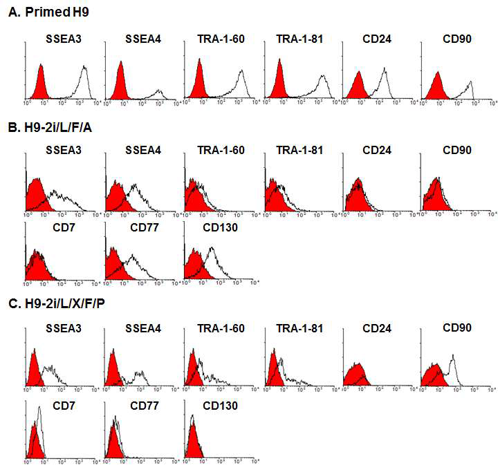 Surface marker expression of naive and primed hPSCs in primed H9 and H9-2i/L/F/A and H9-2i/L/X/F/P cells. H9-2i/L/F/A와 H9-2i/L/X/F/P 세포에서 primed surface marker인 SSEA-3, SSEA-4, TRA-1-60, TRA-1-81, CD24 및 CD90의 발현이 상대적으로 감소하고, 최근에 보고된 naive surface marker인 CD7, CD77, 및 CD130 발현이 상대적으로 증가하는 것을 보임. 실선은 각 항체의 결합력을 나타내고, 붉은 바탕은 2차 항체만 포함한 것임