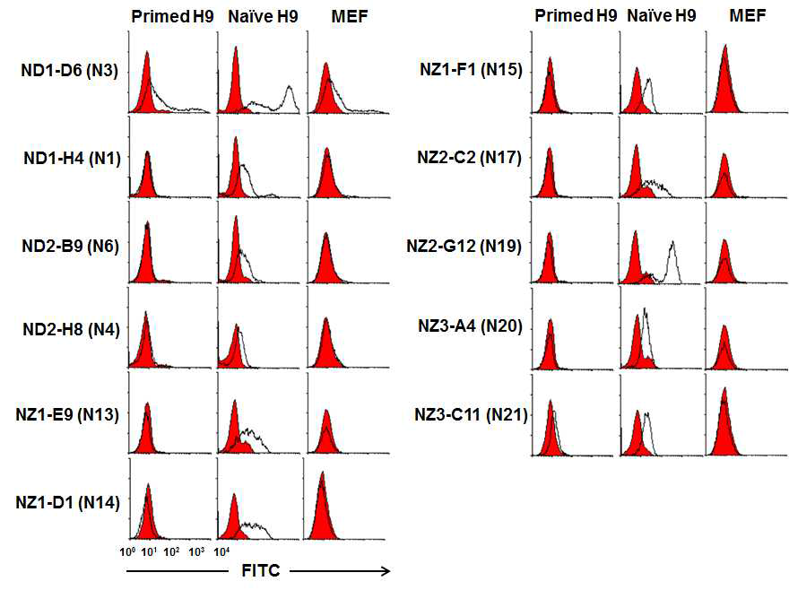 Representative naive hPSC-specific surface mAbs. naive H9 세포에는 결합하지만 primed H9 및 MEF 세포에는 결합하지 않거나 약하게 결합하는 단일클론항체군