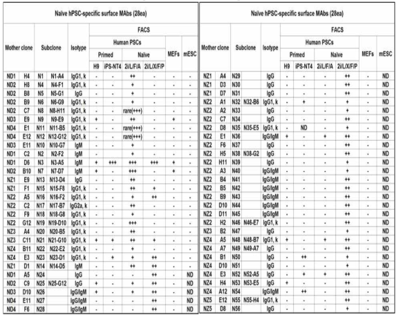 FACS profile of naive hPSC-specific surface mAbs