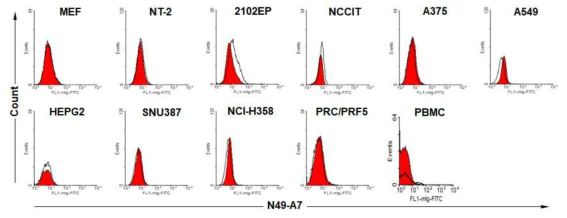 Flow cytometry analysis of various cancer and primary cells with N49-A7. MEF, 인간 배아암 세포 (NT-2, 2102EP, NCCIT), 다양한 암세포 및 정상 혈액세포 (PBMC)에 대한 단일클론 항체 N49-A7의 결합력. 실선은 N49-A7의 결합력, 빨간 바탕은 2차 항체만 반응시킨 것임