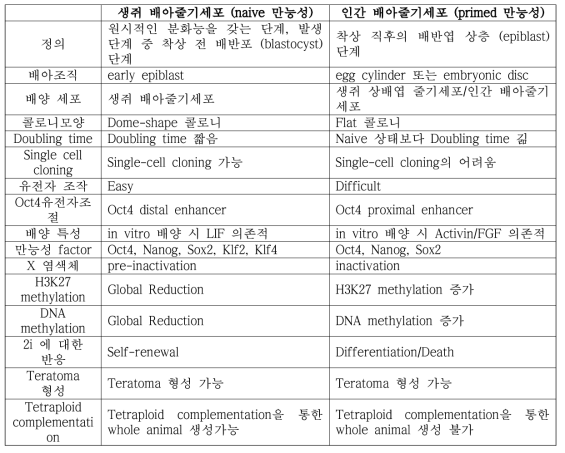 생쥐배아줄기세포와 인간배아줄기세포 차이점 비교