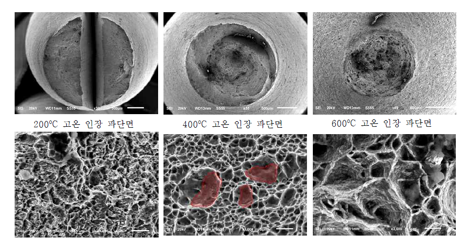DSA In&Out 영역 온도에서의 고온 인장 파단면 관찰