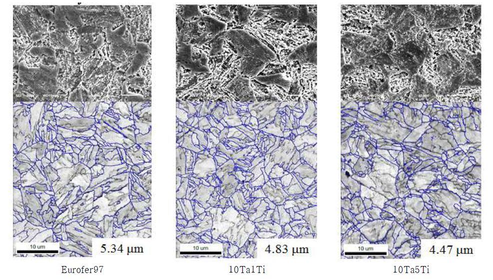 Eurofer97 합금과 개선 후보강재들의 SEM 및 EBSD 분석