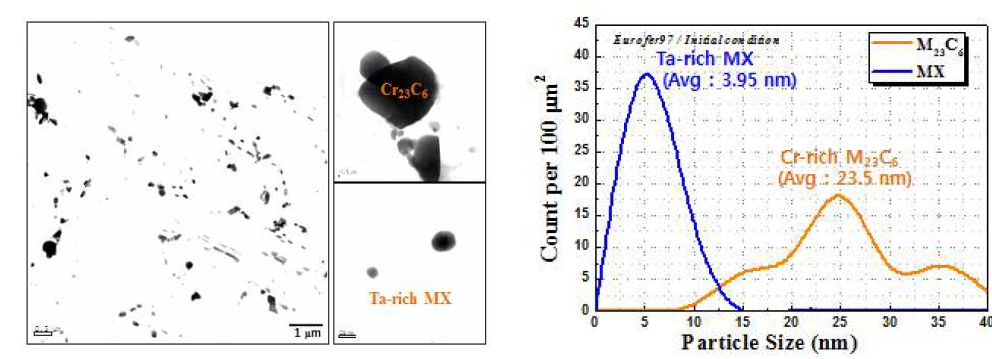 초기 Eurofer97 강 주요 석출물 크기 및 분율