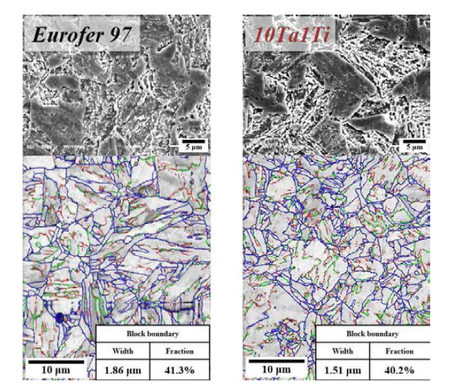 Eurofer97강과 10Ta1Ti강의 SEM 및 EBSD 분석