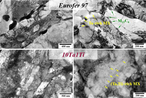 Eurofer97강과 10Ta1Ti강의 TEM 관찰을 통한 초기 미세조직 비교