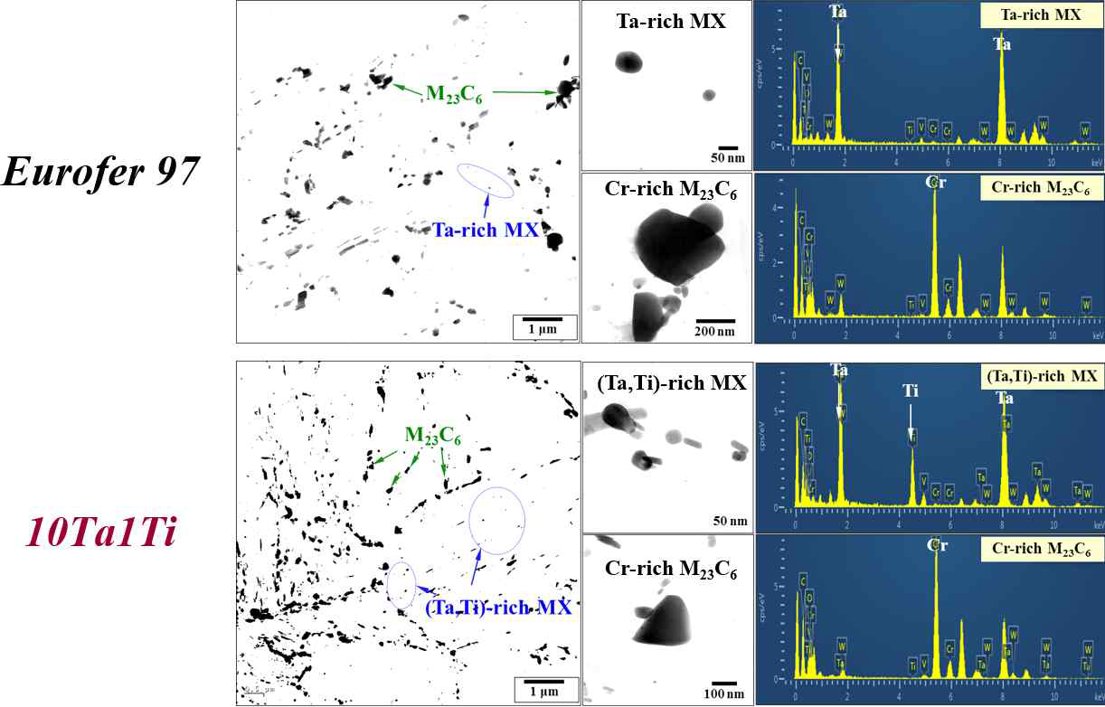 Eurofer97강과 10Ta1Ti강의 Replica 기법을 통한 석출물 TEM 분석