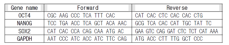 본 연구에서 분석된 유전자 프라이머 서열