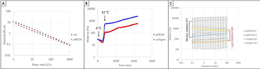 췌장 유래 바이오잉크의 점탄성 특성 분석. 전단속도에 따른 점성 측정 (A), 온도 증가에 따른 복소 탄성률 측정(B), 가교결합 후 저장 탄성률과 손실 탄성률 측정 (C)