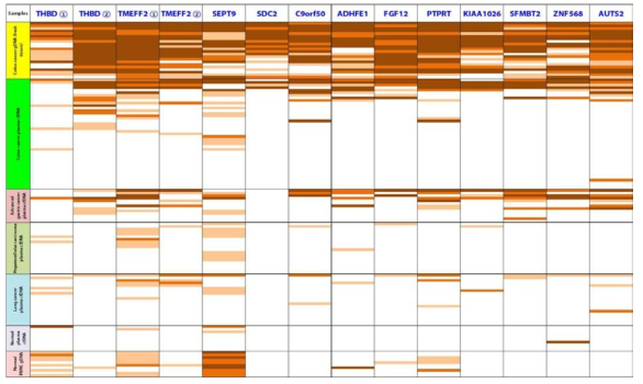 대장암 조직 (n=22), 대장암환자 혈장cfDNA (n=43), 위암환자 혈장cfDNA (n=13), 간세포암환자 혈장 cfDNA (n=20), 폐암환자 혈장 cfDNA (n=20), 정상인 혈장 cfDNA (n=10), 정상인 말초혈액백혈구 (n=10)에 대해 12개의 DNA메틸화마커에 대해 MethyLight을 시행하였고, 메틸화레벨을 색깔을 달리하여 표시하였음