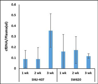 대장암 세포주 (SNU-407, SW620)에 대한 xenograft의 종양 생성 후 혈장으로부터 추출한 cfDNA 양의 변화
