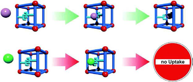 Concept of guest selective gate-opening. Blue rods represent linkers, red spheres SBUs and purple/green spheres potential adsorptive molecules. Only the molecule which owns the appropriate chemical property, the key to unlock the gate, can enter the pore