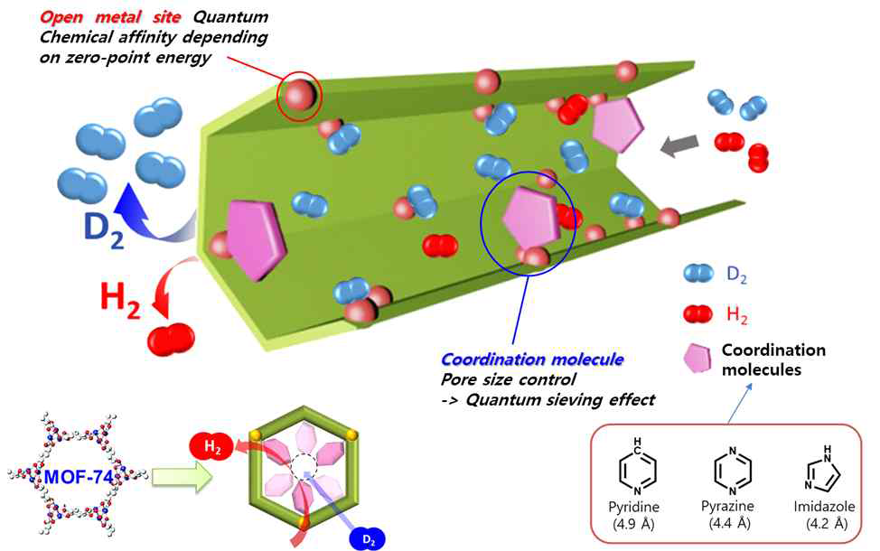 Schematic View of the Pore Channel of Ni2(dobdc) including Open Metal Sites and Coordination molecules. Open Metal sites and Coordination molecules are employed for the enhancement of the Chemical Affinity Quantum Sieving(CAQS) Effect and Kinetic Diffusion Barrier(KQS effect), respectively