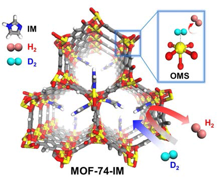 고효율 중수소 분리 시스템 (MOF-74-IM): 높은 CAQS 효과를 얻기 위해 강한 흡착 자리를 높은 밀도로 가진 MOF-74를 선택했다. 이와 동시에 일부 이미다졸 분자 (imidazole, IM)를 MOF-74 기공에 도입해 효과적으로 기공 크기를 조절함으로써 높은 KQS 효과를 얻었다