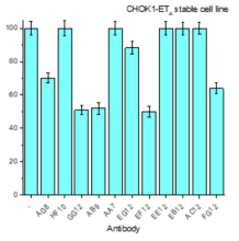 ETA 과발현 세포주에서 AG8을 포함한 11종의 길항작용 효과 검증 결과