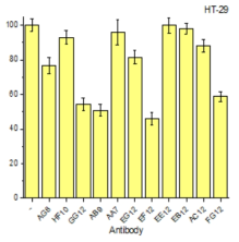 HT-29 세포에서 AG8을 포함한 11종의 길항작용 효과 검증 결과