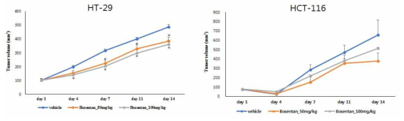 Xenograft mouse model에 대한 Bosentan의 항암 유효성 검증 실험 결과