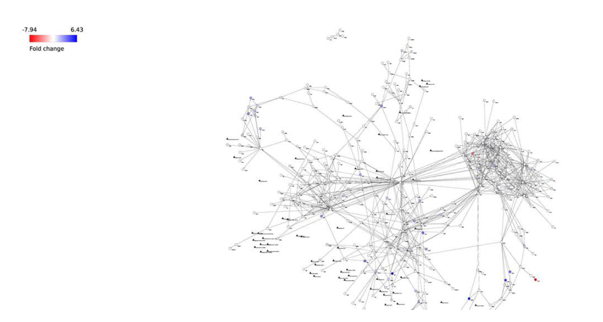 Differential networks of ETA의 high expressing patients vs. low expressing patients