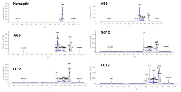 Control로 사용한 Herceptin을 포함한 5종의 항체에 대한 CIF 결과